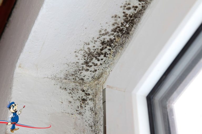Can Air Conditioners Cause Mold? Find Out How Ac Systems Can Promote Mold Growth