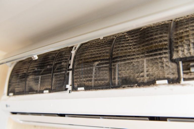 What Kills Mold In Air Conditioner: Effective Ways To Get Rid Of Mold